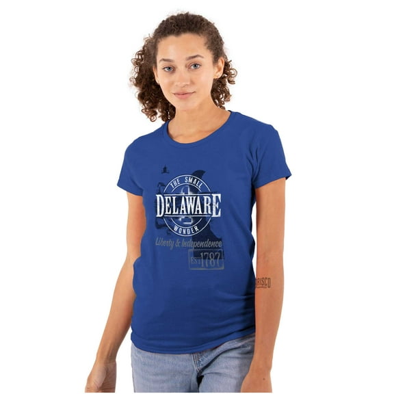Delaware Lighthouse Cool DE Map Shape Womens Fitted Plus Size Graphic Tee Brisco Brands 2X