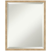 Amanti Art Imprint Light Bronze Beveled Wood Wall Mirror 21 x 17 in.