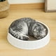 thumbnail image 3 of Bol de rascado redondo para gatos, cama de rascado corrugado, inserto reemplazable para gatos de interior, juguete para mascotas duradero, cama redonda para rascado de gatos, cama para gatos desmontab, 3 of 6