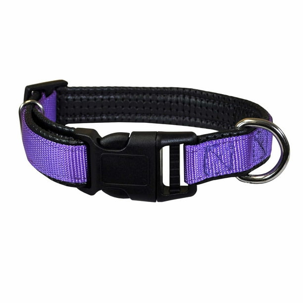 Downtown Pet Supply Dog Collars for Small Dogs Quick Release Dog Collar