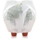 thumbnail image 1 of Funda protectora para plantas: la práctica bolsa de vellón para plantas protege las plantas en macetas sensibles de las heladas, el viento y las precipitaciones (180 x 120 cm), 1 of 5