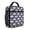Sleeping Cat and Cloud Blue Pattern, variant on Cat and Music Note Green Pattern Mini Insulated Lunch Bag, Beach Lunch Tote with Side Mesh Pocket & Adjustable Handle, Waterproof Oxford Gifts for Work School Outdoor