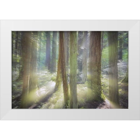 Paulson, Don 14x11 White Modern Wood Framed Museum Art Print Titled - WA, Scenic Beach SP Blurred forest scene