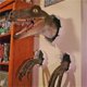 thumbnail image 1 of Estatua de Velociraptor de resina para montaje en pared, escultura de dinosaurio, adorno colgante para interior y exterior, 1 of 4