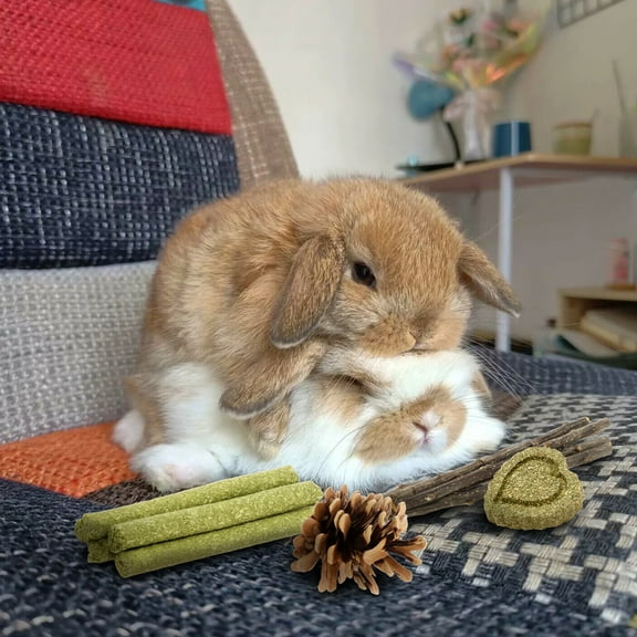 Ikoopy 27Pcs Rabbit Chew Toy Safe Wood Hamster Teething Toy Colorful Hamster Chewing Set Boredom Breakers for Guinea Pig Rabbit