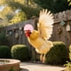 thumbnail image 4 of 1PC Pet Supplies Funny Chicken Hen Hard Hat Bird Hat Headgear, 4 of 5