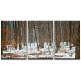 thumbnail image 3 of PixonSign Canvas Print Wall Art Cracked Paint Texture Snow on Forest Floor Nature Wilderness Illustrations Modern Art Rustic Landscape Relax/Calm Warm for Living Room, Bedroom, Office - 16"x24"x3, 3 of 5