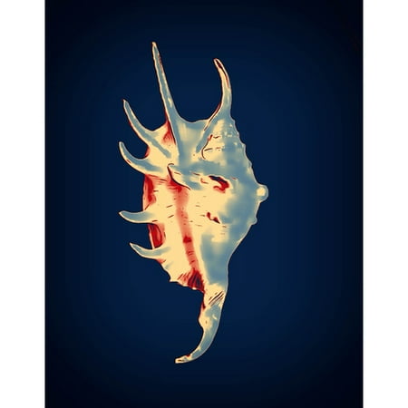 Graffitee Studios Shells Spider Conch Graphic Art on Wrapped Canvas in Blue