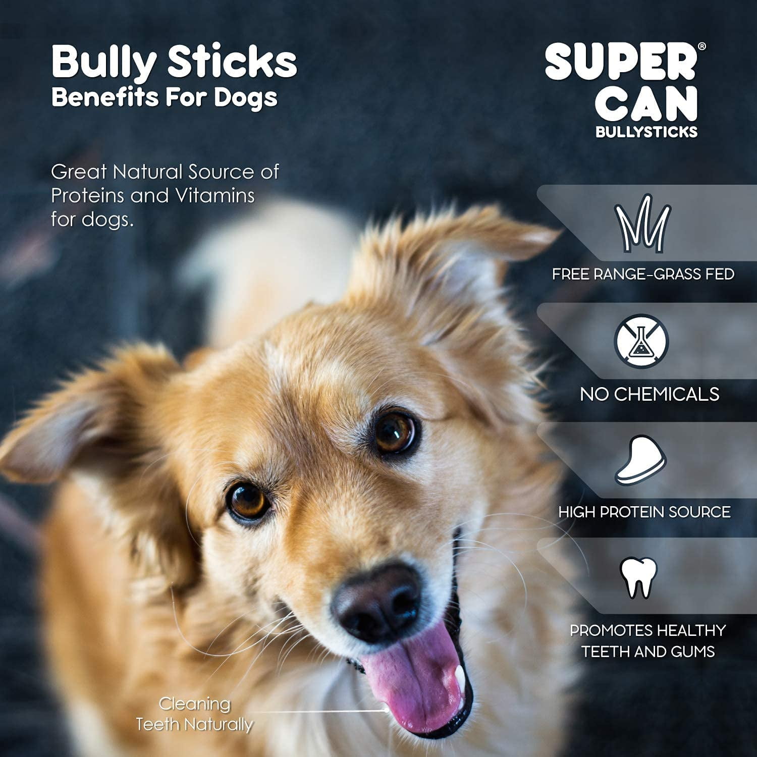 Supercan 6-inch Junior Bully Sticks for Small Dogs 15-Pack, 100% Natural Dog Chews Ideal for Small Breeds and Puppies. Non-GMOs Grass Fed Long Lasting Dental Chews