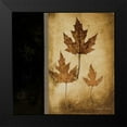 thumbnail image 2 of Poloson, Kimberly 20x20 Black Modern Framed Museum Art Print Titled - Maple Leaves III, 2 of 5