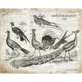 thumbnail image 2 of Babbitt, Gwendolyn 24x20 Black Ornate Wood Framed with Double Matting Museum Art Print Titled - Birds II, 2 of 4