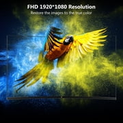 Z-EDGE UG24 24-Inch Curved Gaming Monitor 180Hz(DP) 144Hz(HDMI) 1ms Full HD 1920x1080 HDMI DP Port