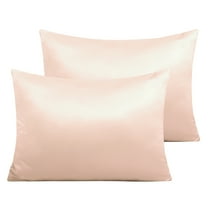 Ntbay 2 Pack Satin Toddler Pillowcases, Soft and Cool Travel Pillow Covers with Hidden Zipper Closure, 13" x 18", Pink