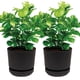 thumbnail image 1 of Set 2 Macetas 35cm Moderna Minimalista Interior Exterior negro Elly Decor ED-MCA02-35CM, 1 of 7
