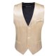 thumbnail image 3 of Barry Wang-Chaleco de seda para hombre, 30 colores, liso, negro, azul, verde, rojo, Pik Gold Champain, chaleco ajustado de satén morado, Tops para hombre, 3 of 5