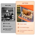 thumbnail image 3 of Yeshouse Nido para gallinas de 6, 8 y 10 agujeros, de acero galvanizado inoxidable, para gallinas, fácil de recoger y limpiar, 3 of 7