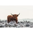 thumbnail image 3 of Van Den, Jaap 14x11 Black Modern Framed Museum Art Print Titled - Highlander, 3 of 5