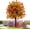 Orange, variant on Artificial Violet for Outdoor Indoor Garden Home Decoration, UV Resistant & Waterproof Artificial Flower Decor, 23" Ground Insert Faux Violet Flowers for Porch Patio Garden Home Yard