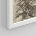 thumbnail image 5 of PixonSign Framed Wall Art Forest Tree Sketches Sepia Duotone Wilderness Prints, Set of 4 Nature Plants Paintings, Minimalism Wall Décor, Adhesive Canvas Poster for Home Decor - 12"x16" White, 5 of 5