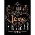 thumbnail image 3 of SD Graphics Studio 12x14 Black Modern Framed Museum Art Print Titled - Love is in the Air, 3 of 5