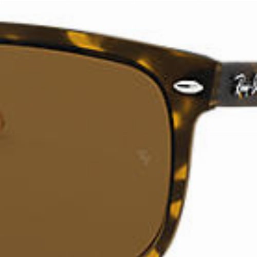 Tortoise/Brown