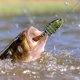 thumbnail image 3 of Simulación 3D de anzuelo con forma realista de pez. Artículos de pesca para aficionados a la pesca., 3 of 4
