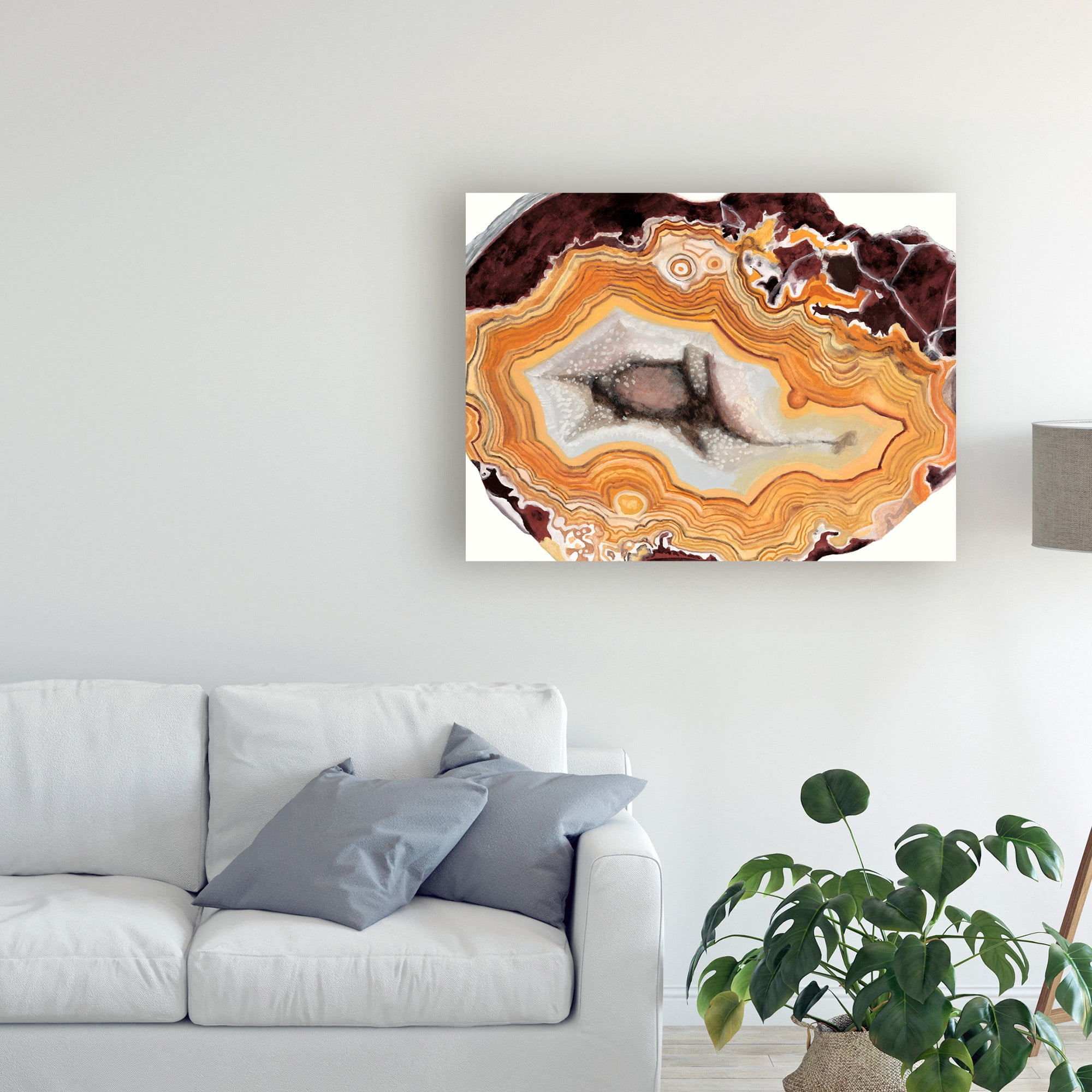Trademark Fine Art 'Agate Studies III' Canvas Art by Naomi McCavitt