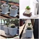 thumbnail image 4 of Nvzi Paquete de 24 macetas de plástico cuadradas para vivero, macetas de plástico de 3 pulgadas, maceta con bandeja y platillo para decoración de interiores, exteriores,color blanco, 4 of 5