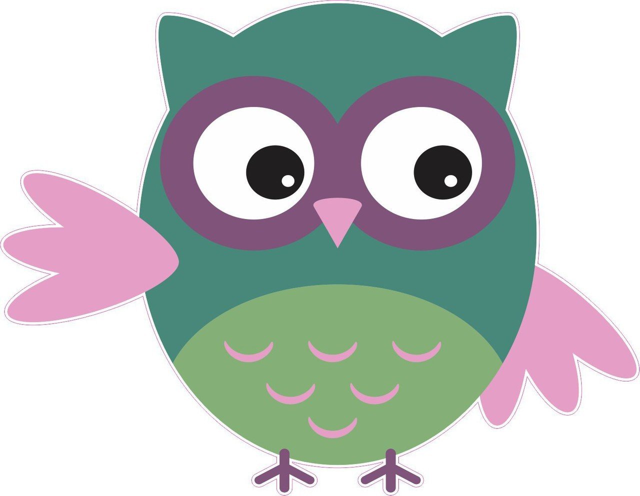 4inx5in Green And Pink Owl Owls Bumper Sticker Decal Vinyl
