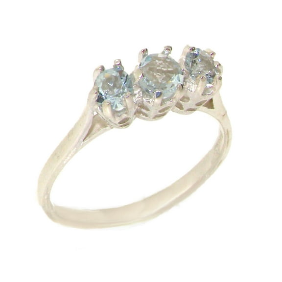 LBG 925 Sterling Silver Natural Aquamarine Womens Anniversary Ring - Size 10