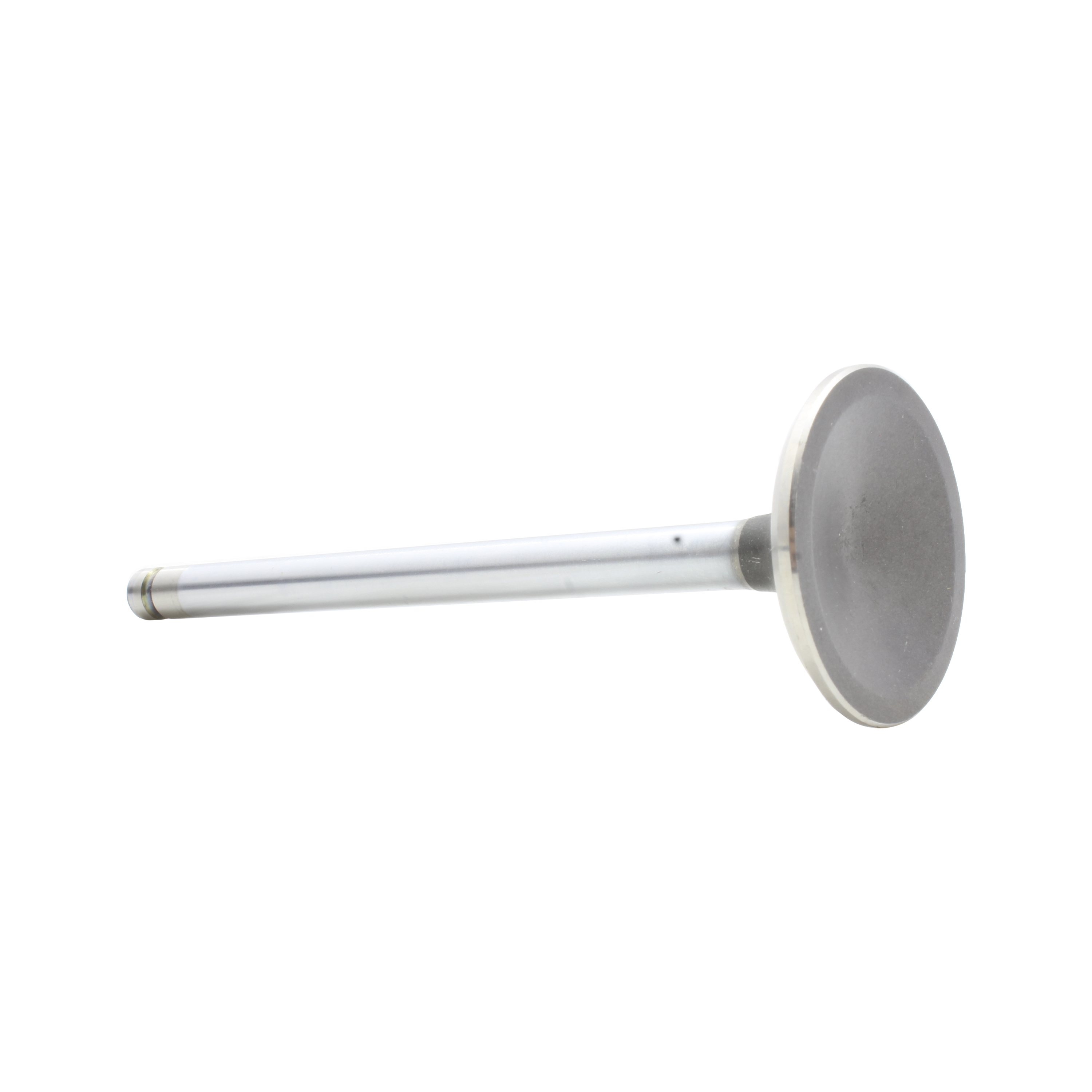 DNJ EV3165 Engine Cylinder Head Valve Train Exhaust Valve