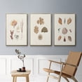 thumbnail image 5 of Knorr Shells & Coral VI - Framed Premium Gallery Wrapped Canvas L Frame 3 Piece Set - Ready to Hang, 5 of 9