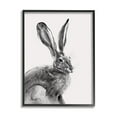 thumbnail image 3 of Stupell Industries Resting Wild Hare Portrait Bold Face Rabbit Illustration, 16 x 20, Design by Emma Caroline, 3 of 5