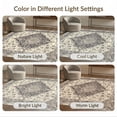 thumbnail image 7 of ODIKA 6'x9' Ultra-Soft Area Rug, Under Vintage Boho Distressed Scroll Border Large Ornate Dining Flowing Dynamic None Washable, Bare feet friendly, Silk-Touch for Guest Room, Bedroom, 7 of 7