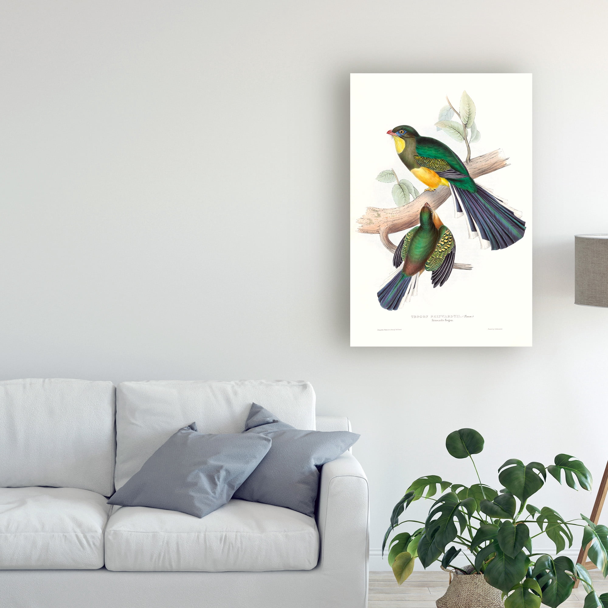 Trademark Fine Art 'Tropical Trogons I' Canvas Art by John Gould