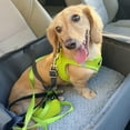 thumbnail image 2 of Voyager Dog Harness Step-In Air Mesh Vest Harness by Best Pet Supplies, 2 of 10