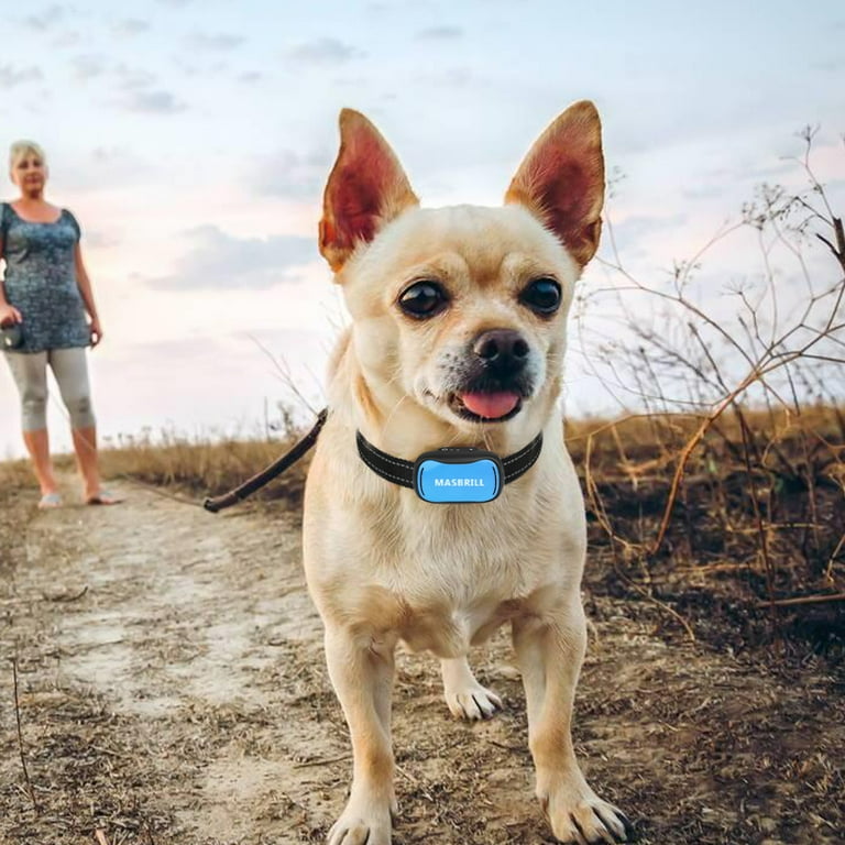 Bark collar for small dogs walmart clearance