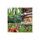 thumbnail image 2 of 100 goteros de riego ajustables, riego por goteo automático de 360°, boquillas de aspersor de emisor de jardín, para invernadero de césped de plantas, jardín de bricolaje (100 piezas) esquí esquí Gafas de esquí, 2 of 5