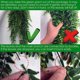 thumbnail image 5 of 4 Paquetes Plantas Colgantes Artificiales Decoración de Pared de Hojas de Hiedra Falsa para Interior Al Aire Libre, Decoración del Hogar con Vegetación Vid de Imitación, 5 of 5