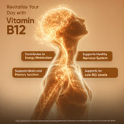 WeightWorld Vitamin B12 Methylcobalamin Tablets 1000 mcg, Energy & Nervous System Support, Vegetarian, 450 Count