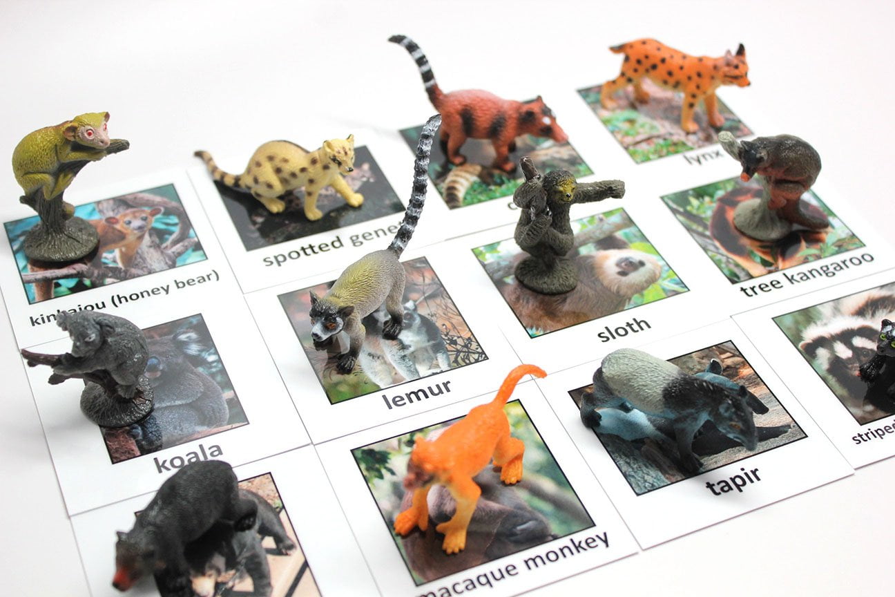 Montessori Rainforest Animal Match - Miniature Rain forest Animals with