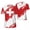 3, variant on Sports Mesh T-shirt Switzerland Swiss Flag For Running Bike Soccer Tennis Football Fitness Tees 3D Printed Custom