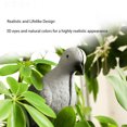 thumbnail image 4 of 6PCS Dove Decoy with Clip – Realistic Lifelike Pigeon Hunting Decoy and Bird Deterrent for Garden, Patio, Crops, and Outdoor Use, 4 of 9