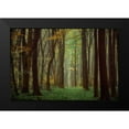 thumbnail image 2 of Van de Goor, Lars 24x17 Black Modern Framed Museum Art Print Titled - Arriving Nowhere, 2 of 5