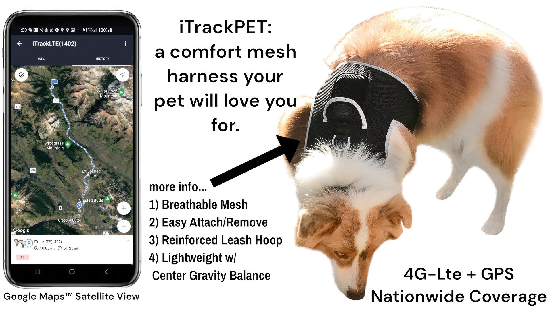 NEW Pet Tracker Realtime Security Pet Locator GSM GPS Tracker for Cats Size:XXL