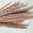 thumbnail image 4 of Hierba de pampa seca, 60 tallos, decoración de hierba de pampa natural, flores secas Afortunado Sencillez, 4 of 5