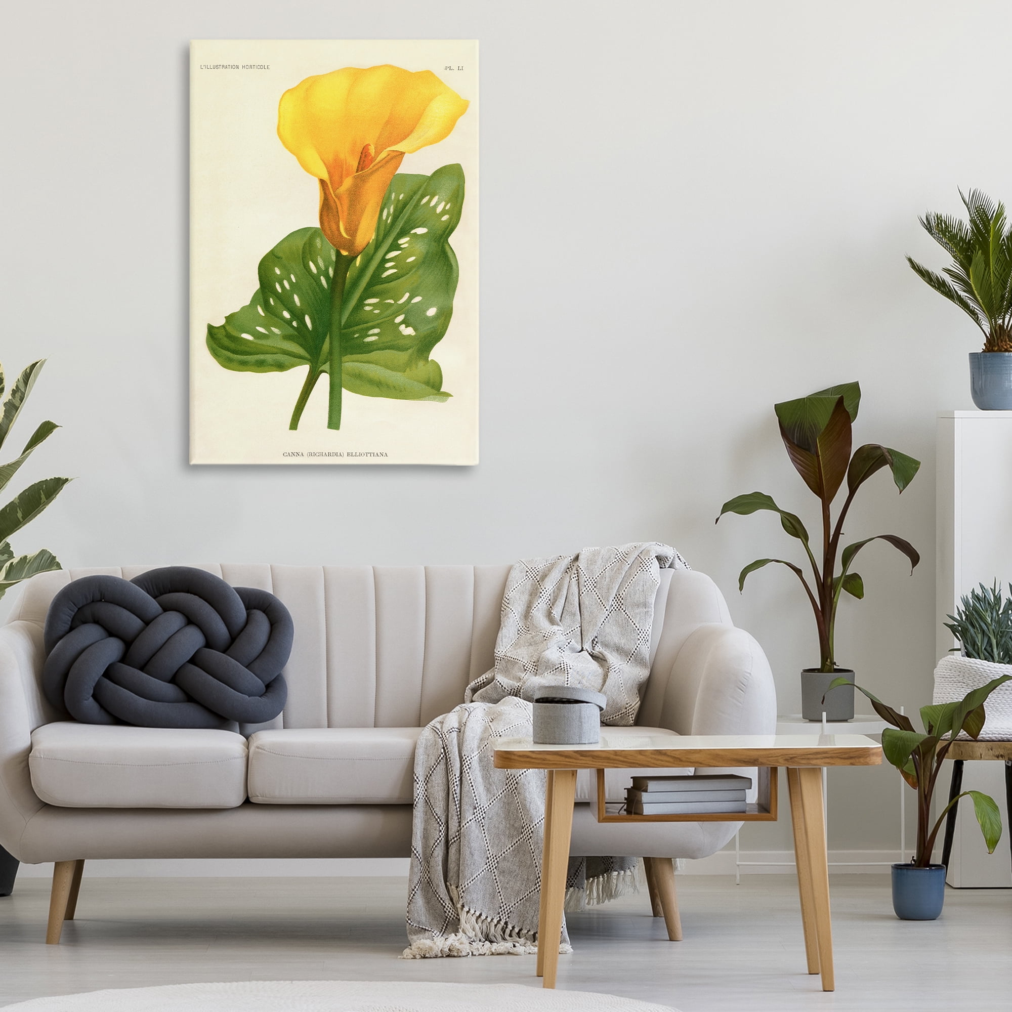 Stupell Industries Yellow Canna Lily Canvas Wall Art, design by Print Collection