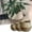 A, variant on ZMKIAG Large Capacity Natural Color Woven Planter Baskets with Sturdy Handle, Practical and Portable Wicker Baskets, Soft and Durable Seaglass Material for Plants, Flowers