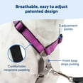PetSafe 3 in 1 Harness, Fully Adjustable NoPull Dog Harness and Car