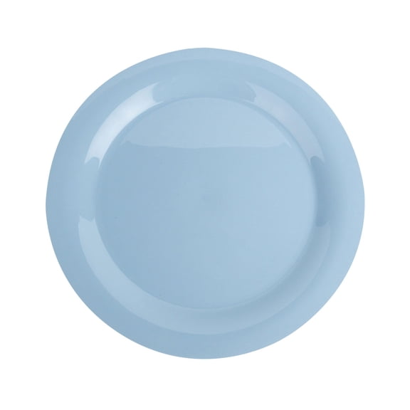 10.2 Inch Wheat Straw Dinner Plates, 1 Pack Unbreakable Sturdy Plastic Reusable Plate, Microwave and Dishwasher Safe PP Plates, Lightweight Dinner Plates, Non-Toxic, BPA Free,Sky